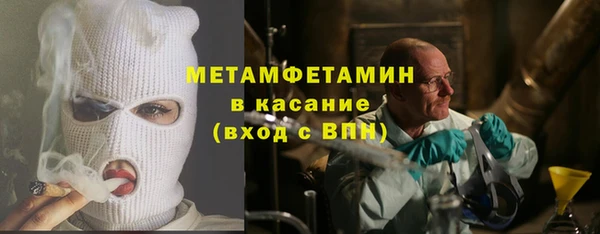 шишки Белокуриха