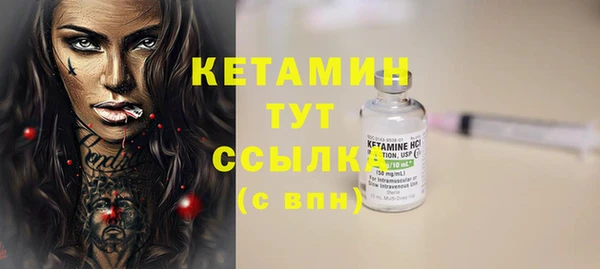 шишки Белокуриха