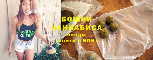 шишки Белокуриха