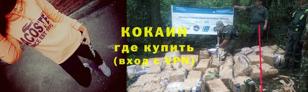 шишки Белокуриха